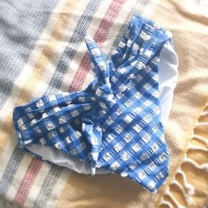 Blue Gingham Paula Tie-Up Bikini Bottom